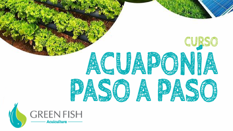 Curso Acuaponía Paso a Paso